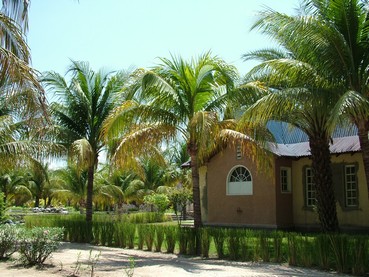 Village des dattes