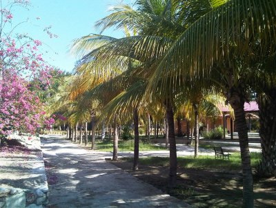 village des dattes